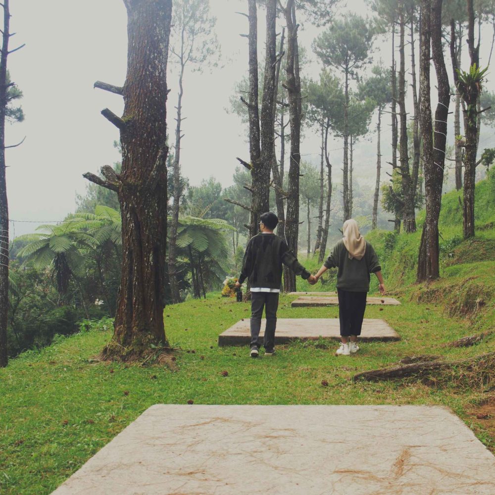 MYXJ_20251007130533085_save_11zon